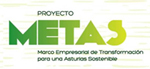 Proyecto metas